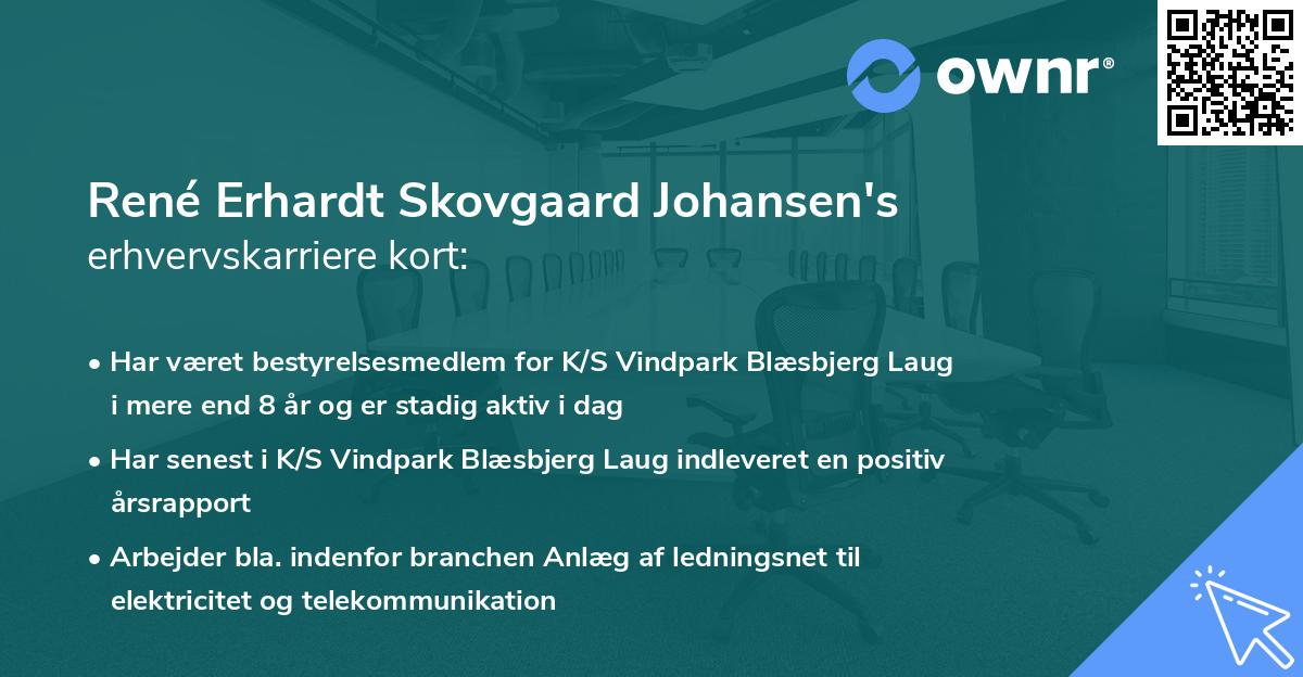 René Erhardt Skovgaard Johansen's erhvervskarriere kort