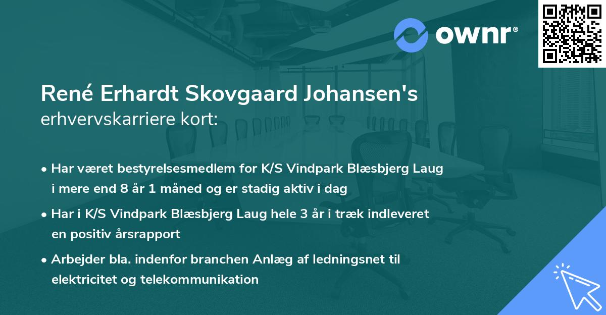 René Erhardt Skovgaard Johansen's erhvervskarriere kort