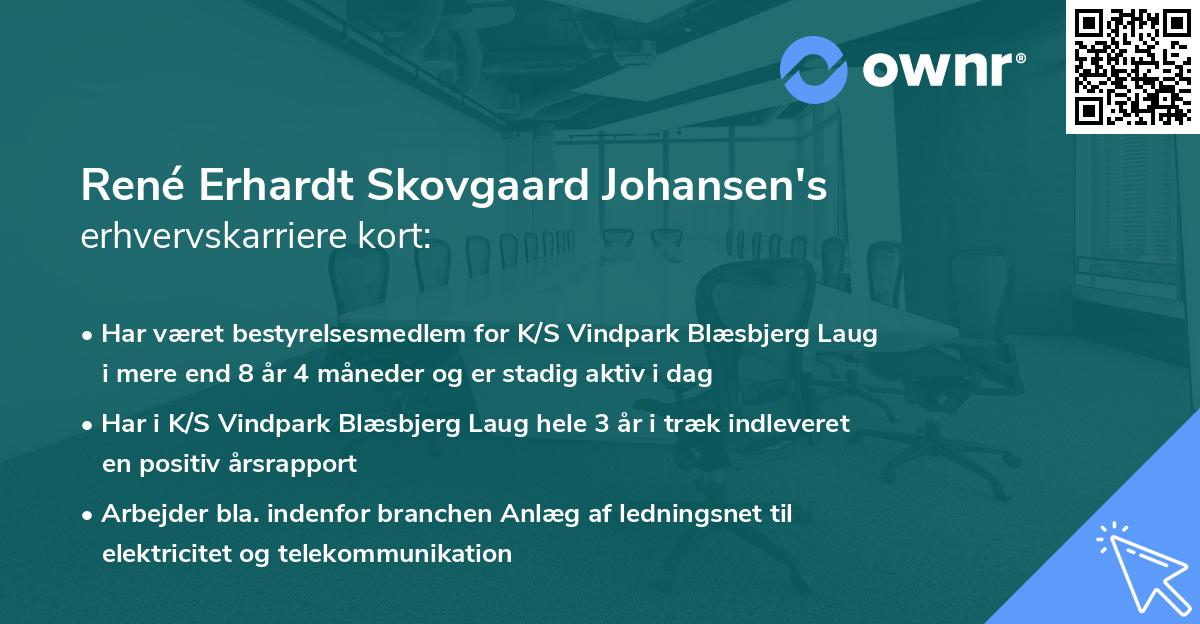 René Erhardt Skovgaard Johansen's erhvervskarriere kort