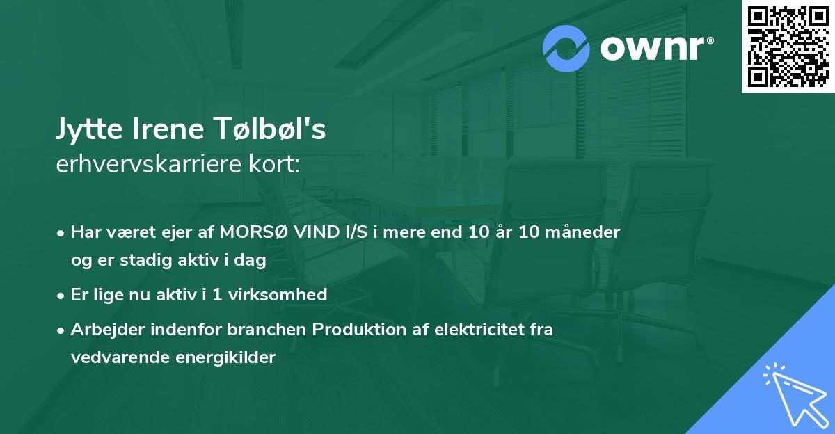 Jytte Irene Tølbøl's erhvervskarriere kort