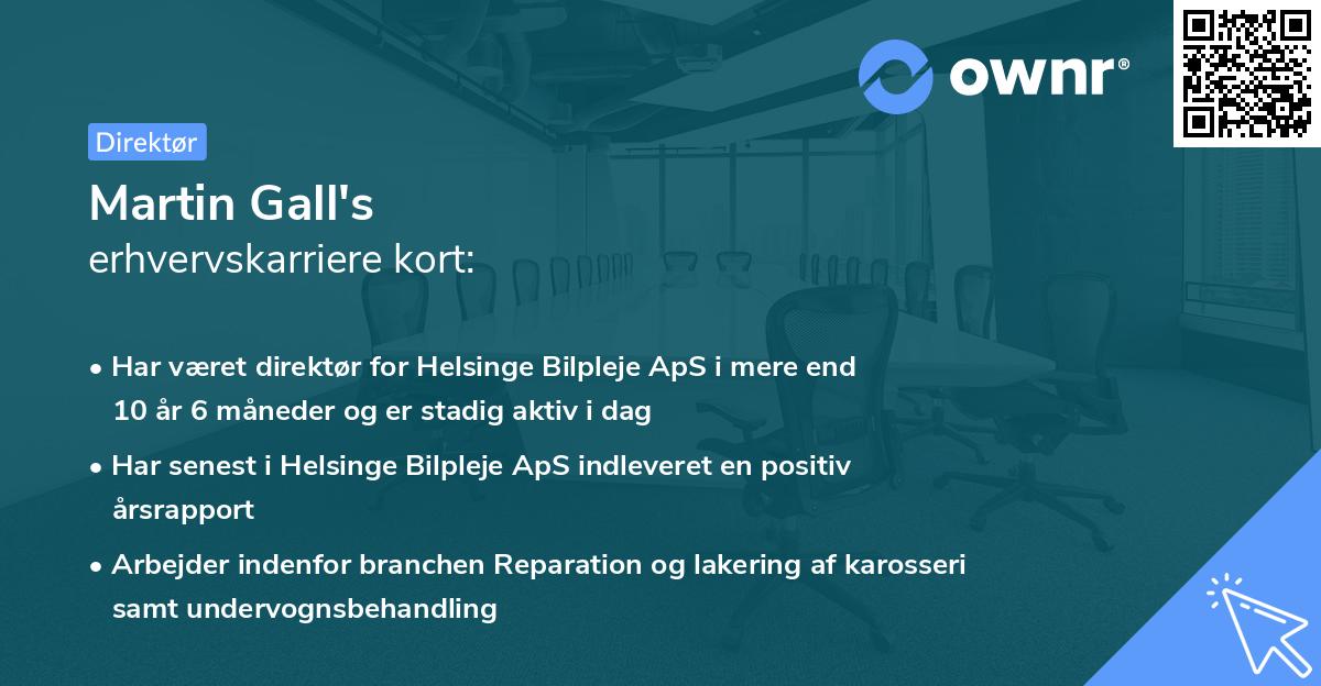 Martin Gall's erhvervskarriere kort
