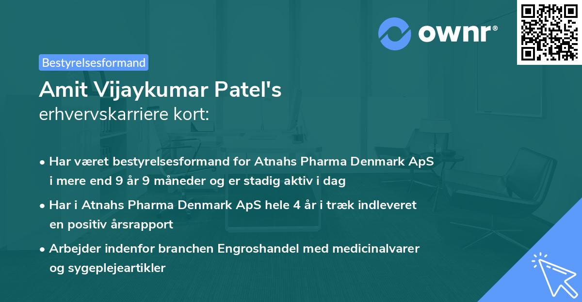 Amit Vijaykumar Patel's erhvervskarriere kort