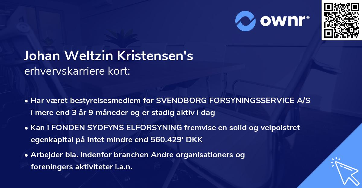 Johan Weltzin Kristensen's erhvervskarriere kort