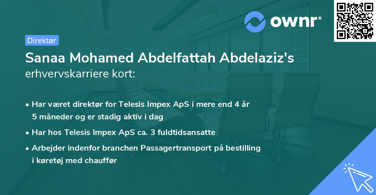 Sanaa Mohamed Abdelfattah Abdelaziz's erhvervskarriere kort