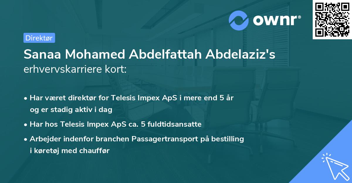 Sanaa Mohamed Abdelfattah Abdelaziz's erhvervskarriere kort
