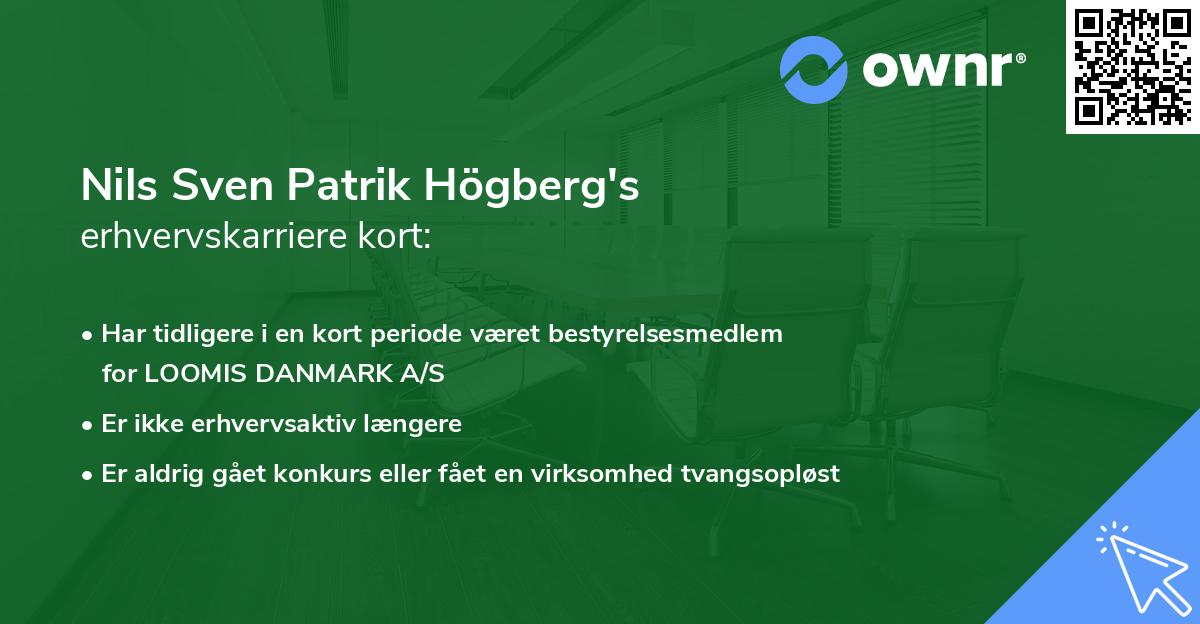 Nils Sven Patrik Högberg's erhvervskarriere kort