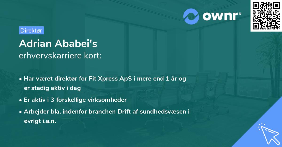 Adrian Ababei's erhvervskarriere kort