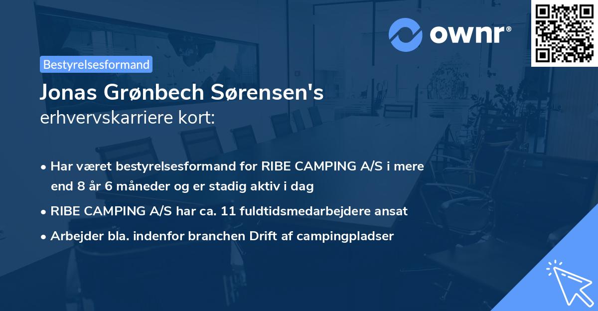 Jonas Grønbech Sørensen's erhvervskarriere kort