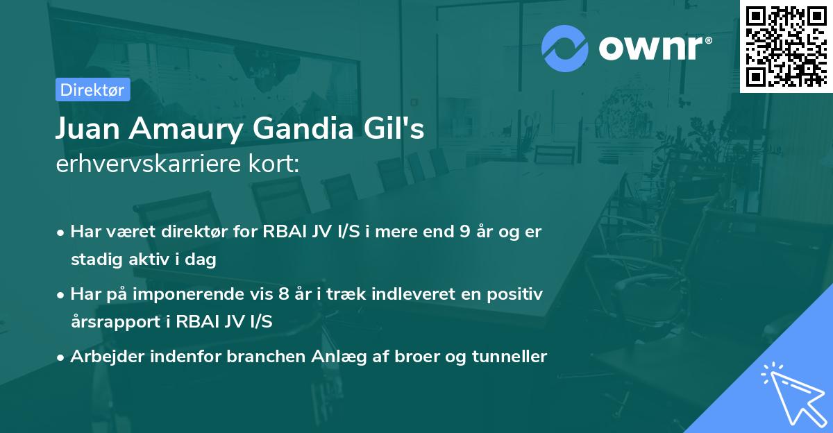 Juan Amaury Gandia Gil's erhvervskarriere kort