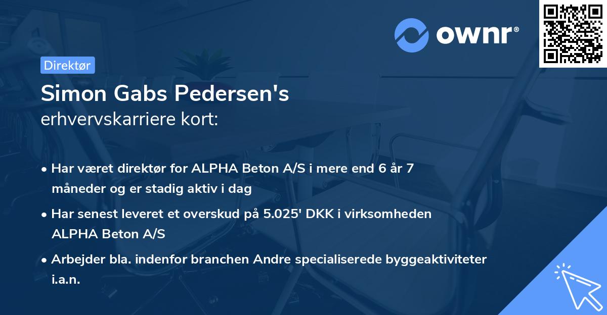Simon Gabs Pedersen's erhvervskarriere kort