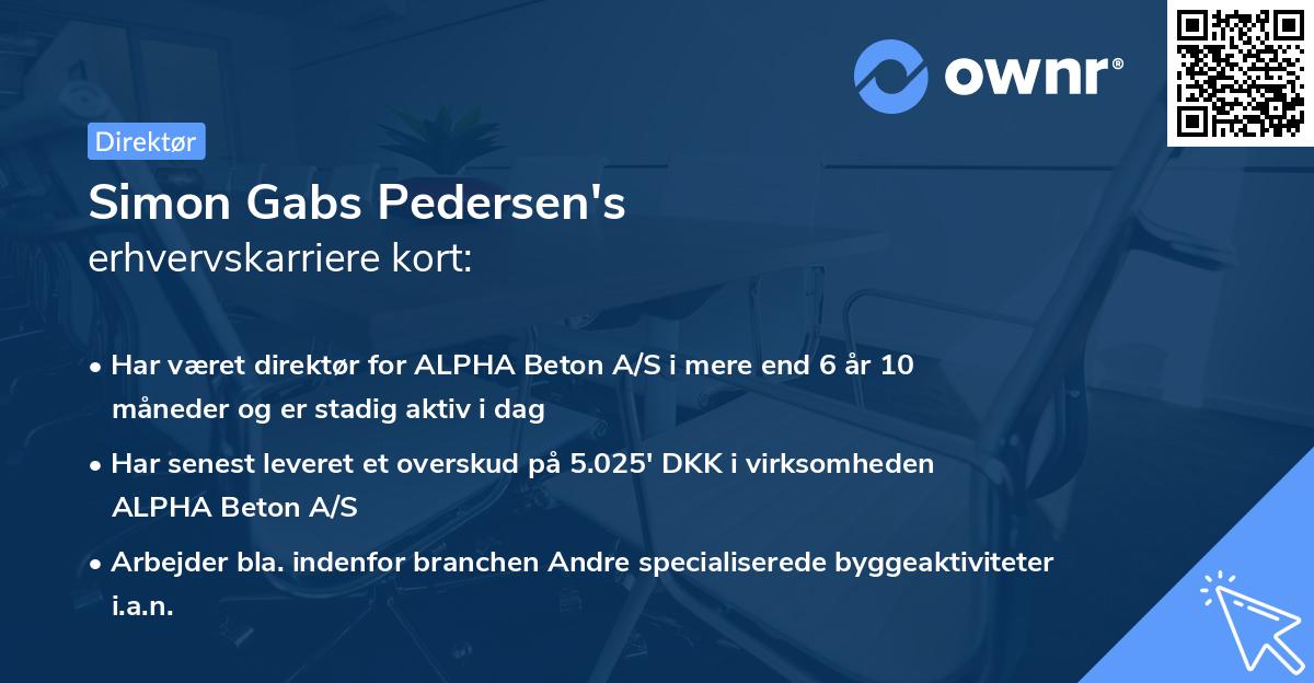 Simon Gabs Pedersen's erhvervskarriere kort