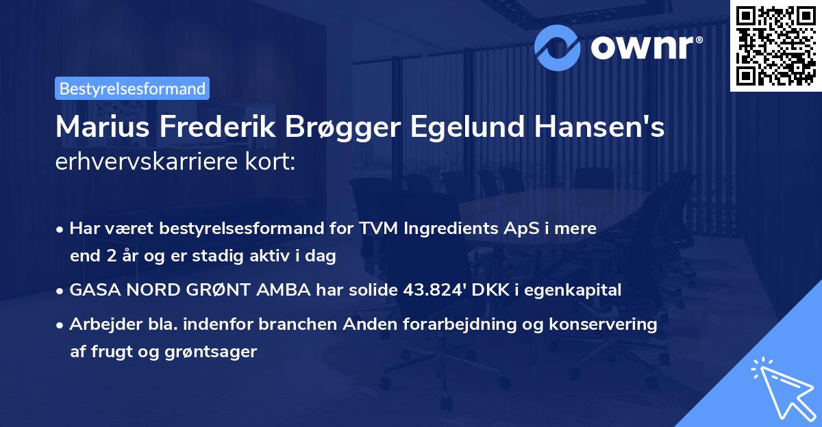 Marius Frederik Brøgger Egelund Hansen's erhvervskarriere kort