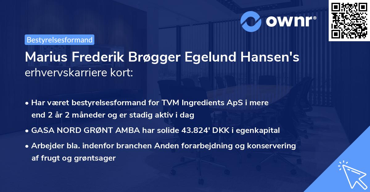 Marius Frederik Brøgger Egelund Hansen's erhvervskarriere kort