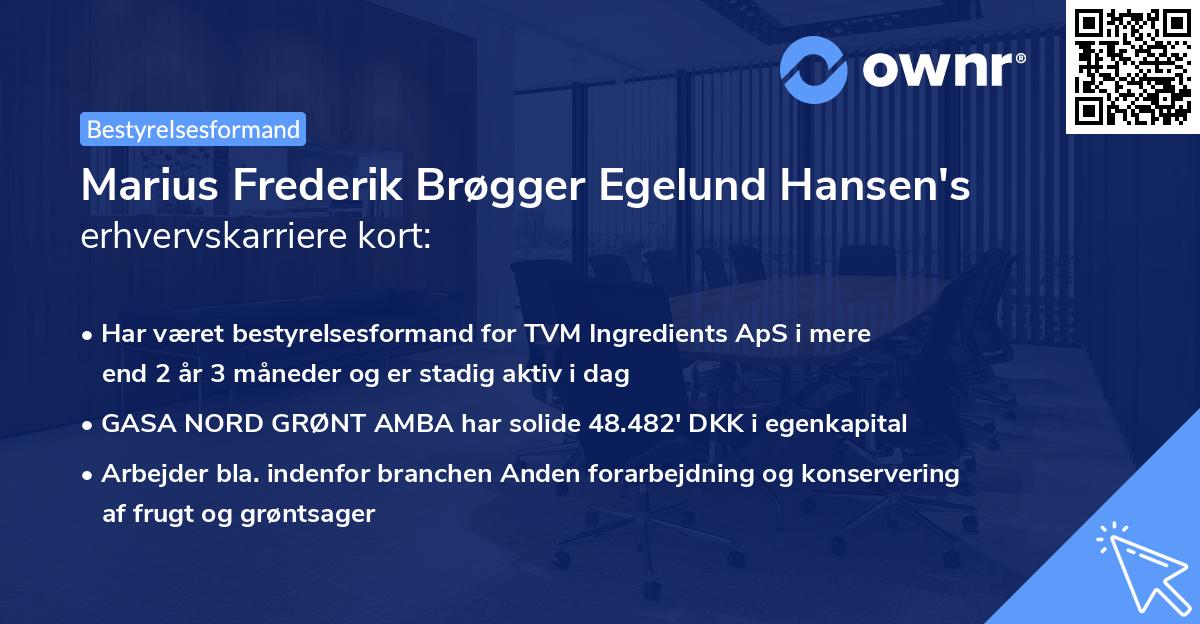 Marius Frederik Brøgger Egelund Hansen's erhvervskarriere kort
