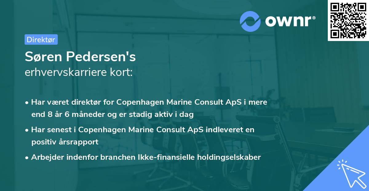 Søren Pedersen's erhvervskarriere kort