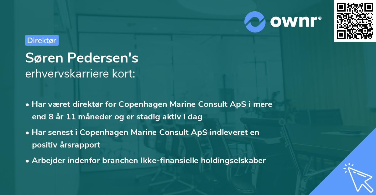 Søren Pedersen's erhvervskarriere kort