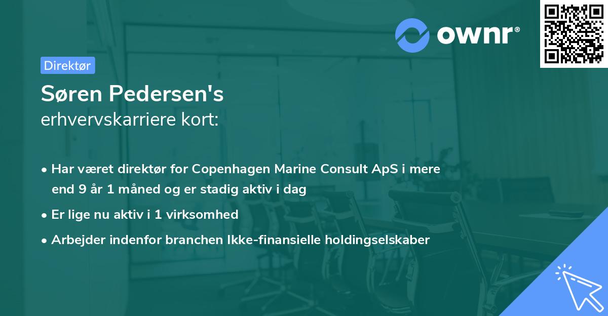 Søren Pedersen's erhvervskarriere kort