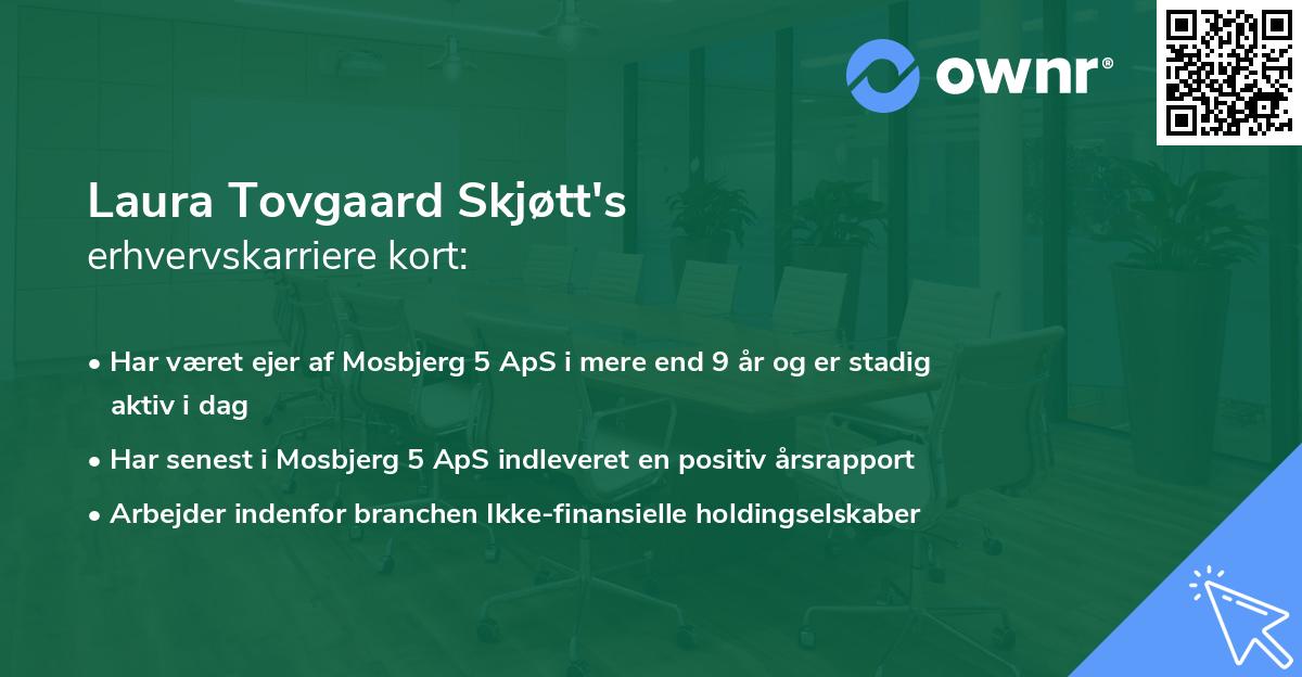 Laura Tovgaard Skjøtt's erhvervskarriere kort