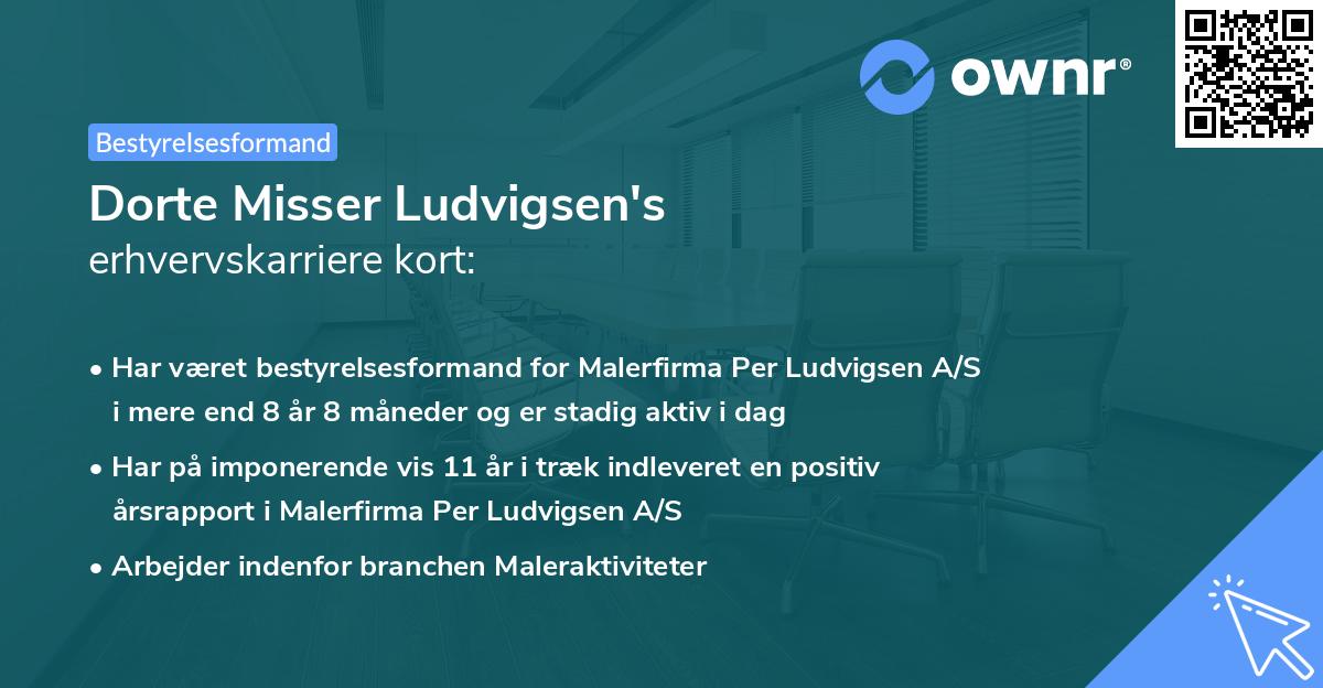 Dorte Misser Ludvigsen's erhvervskarriere kort