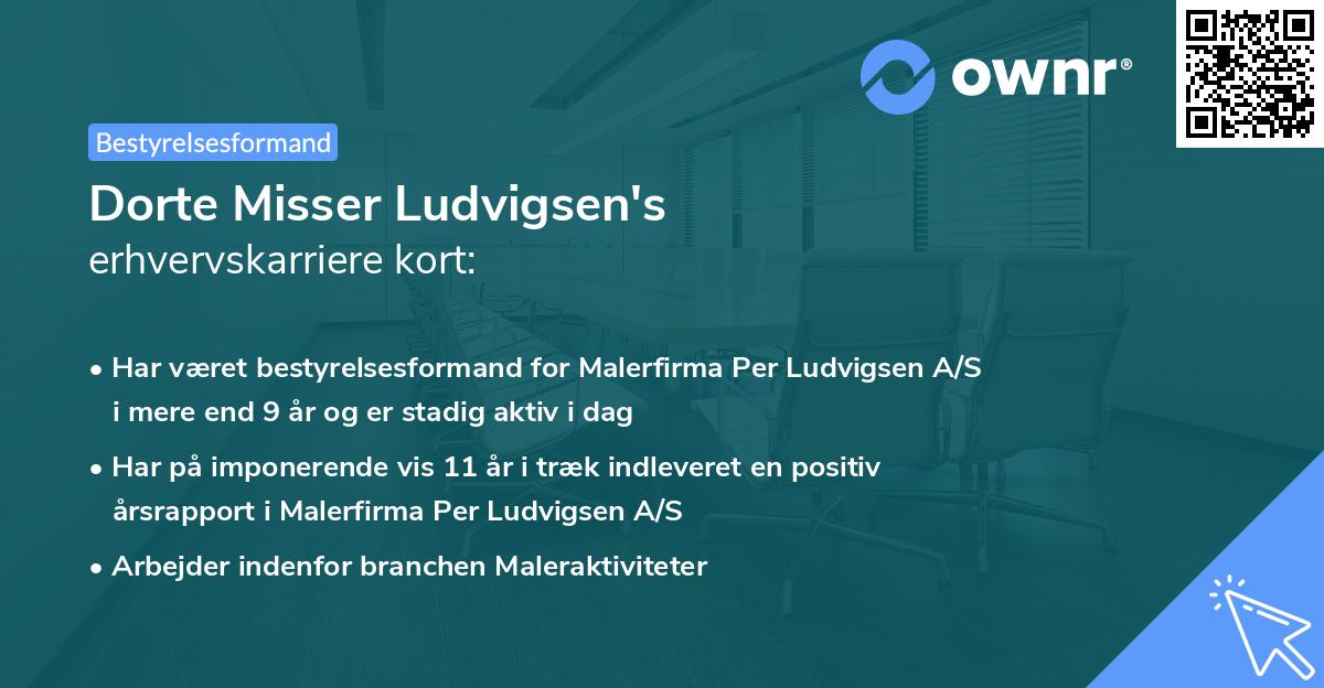 Dorte Misser Ludvigsen's erhvervskarriere kort