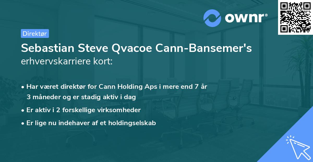 Sebastian Steve Qvacoe Cann-Bansemer's erhvervskarriere kort