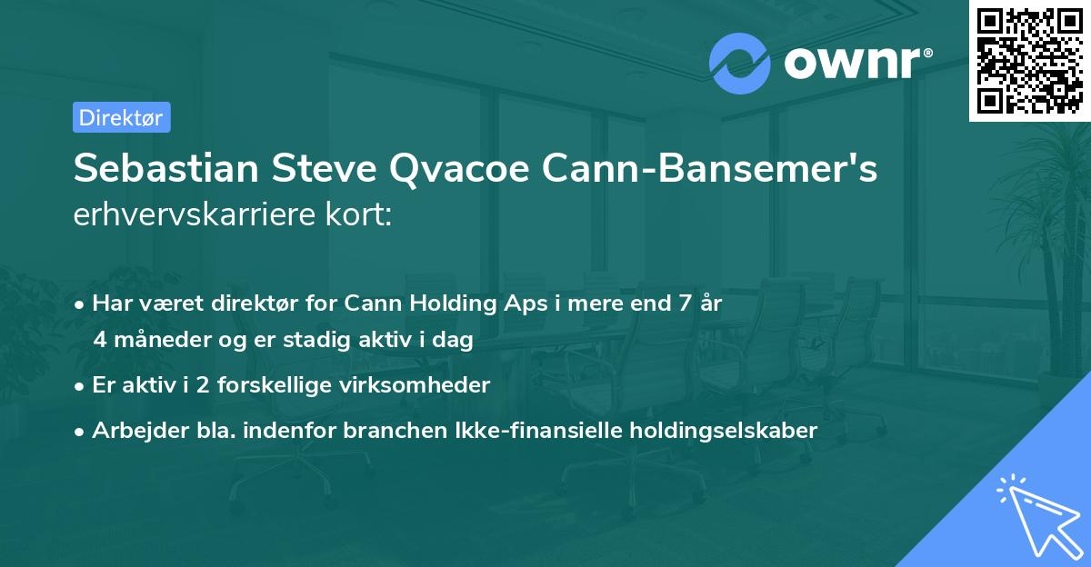 Sebastian Steve Qvacoe Cann-Bansemer's erhvervskarriere kort