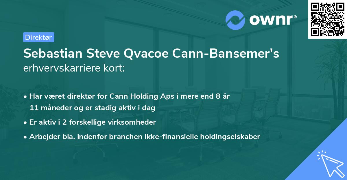 Sebastian Steve Qvacoe Cann-Bansemer's erhvervskarriere kort