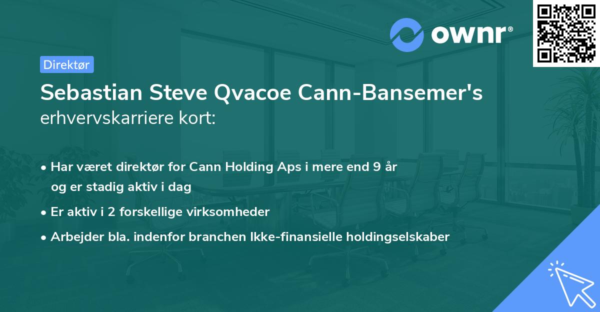Sebastian Steve Qvacoe Cann-Bansemer's erhvervskarriere kort