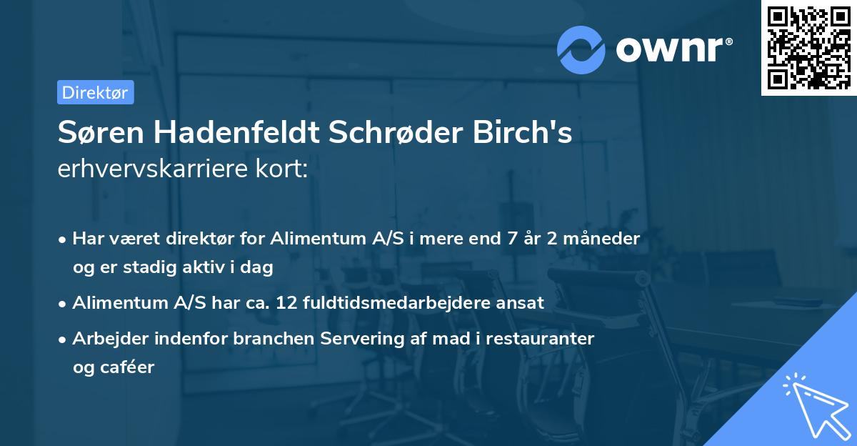 Søren Hadenfeldt Schrøder Birch's erhvervskarriere kort
