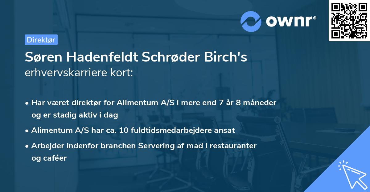 Søren Hadenfeldt Schrøder Birch's erhvervskarriere kort