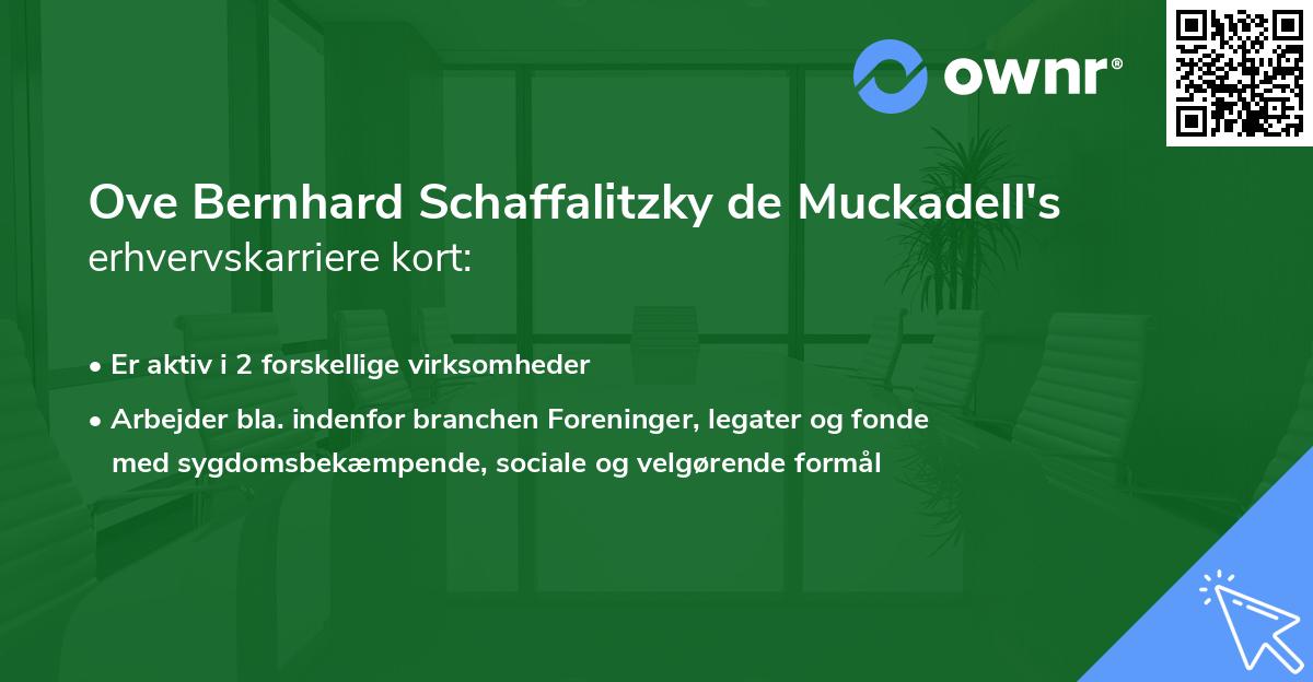 Ove Bernhard Schaffalitzky de Muckadell's erhvervskarriere kort