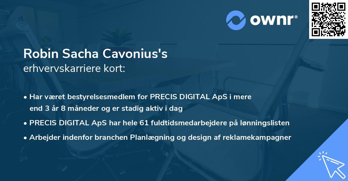 Robin Sacha Cavonius's erhvervskarriere kort