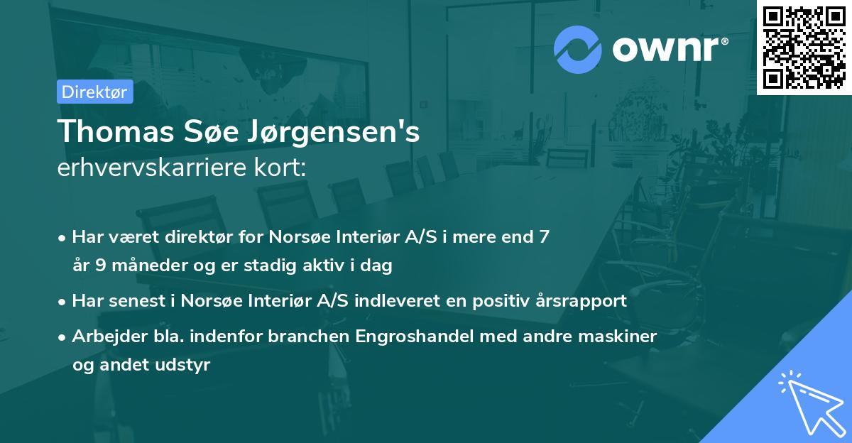 Thomas Søe Jørgensen's erhvervskarriere kort