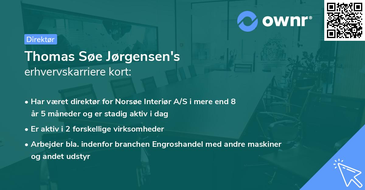 Thomas Søe Jørgensen's erhvervskarriere kort