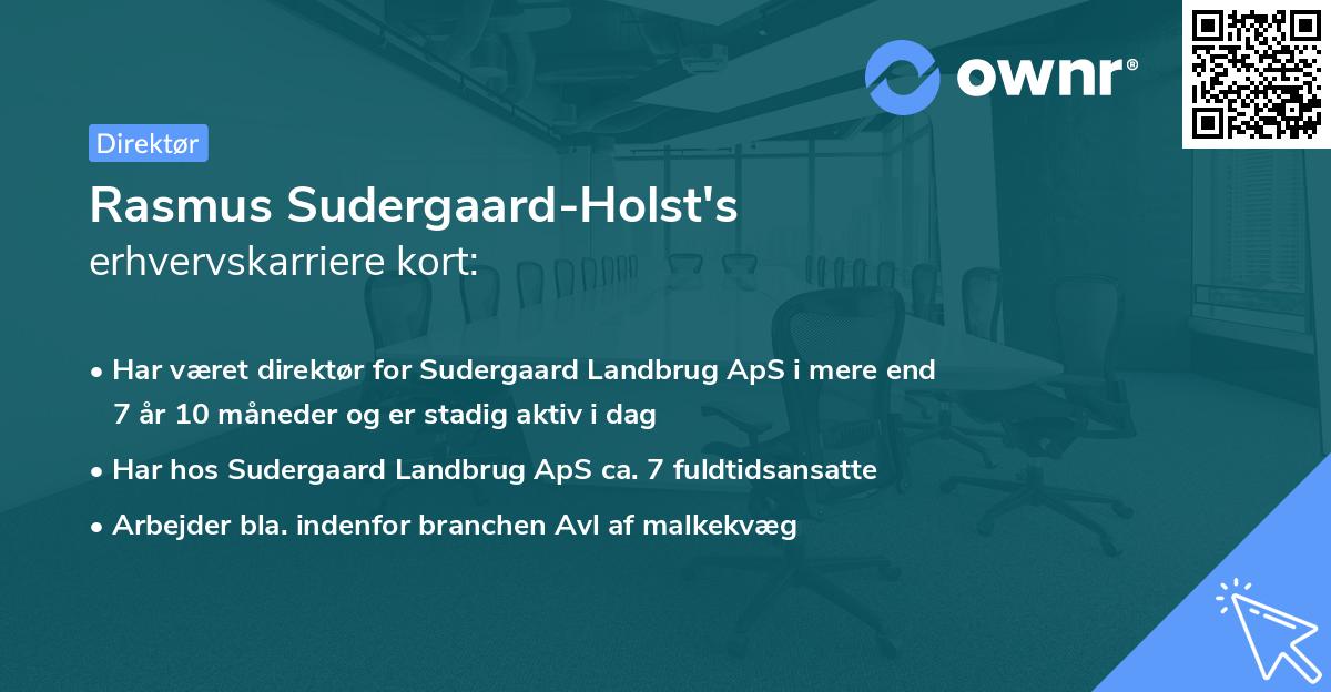 Rasmus Sudergaard-Holst's erhvervskarriere kort