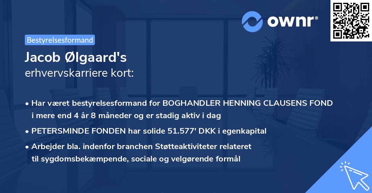 Jacob Ølgaard's erhvervskarriere kort