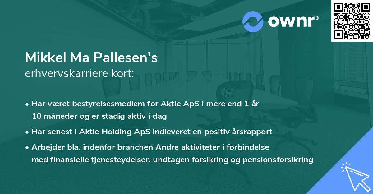 Mikkel Ma Pallesen's erhvervskarriere kort