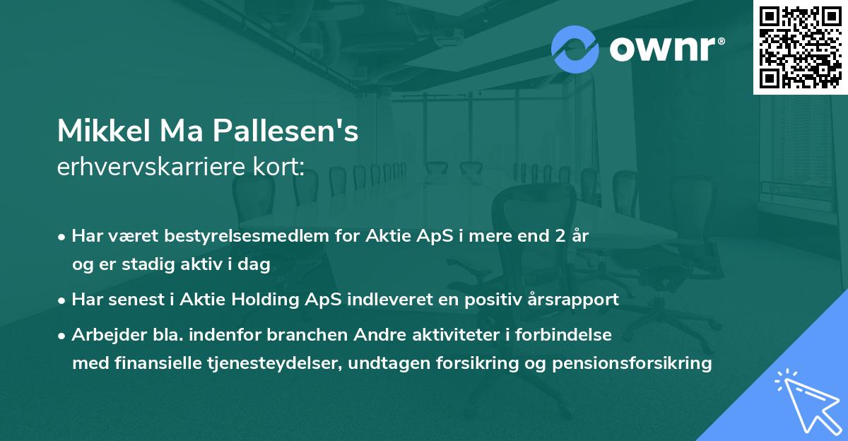 Mikkel Ma Pallesen's erhvervskarriere kort
