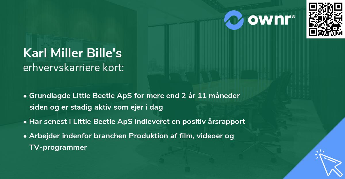 Karl Miller Bille's erhvervskarriere kort