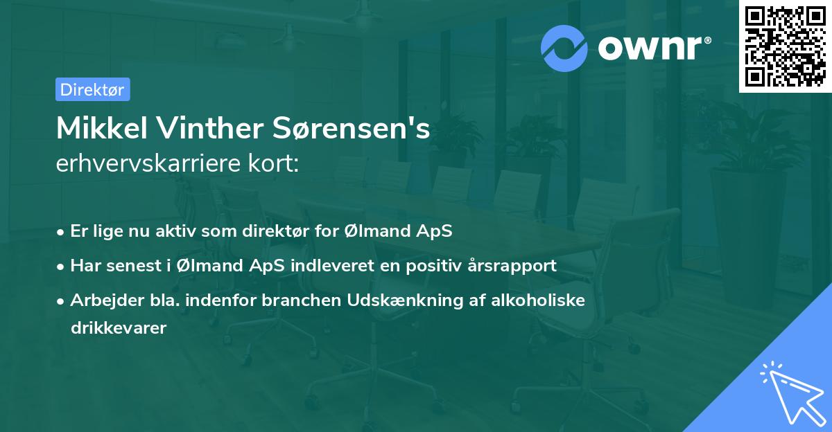 Mikkel Vinther Sørensen's erhvervskarriere kort