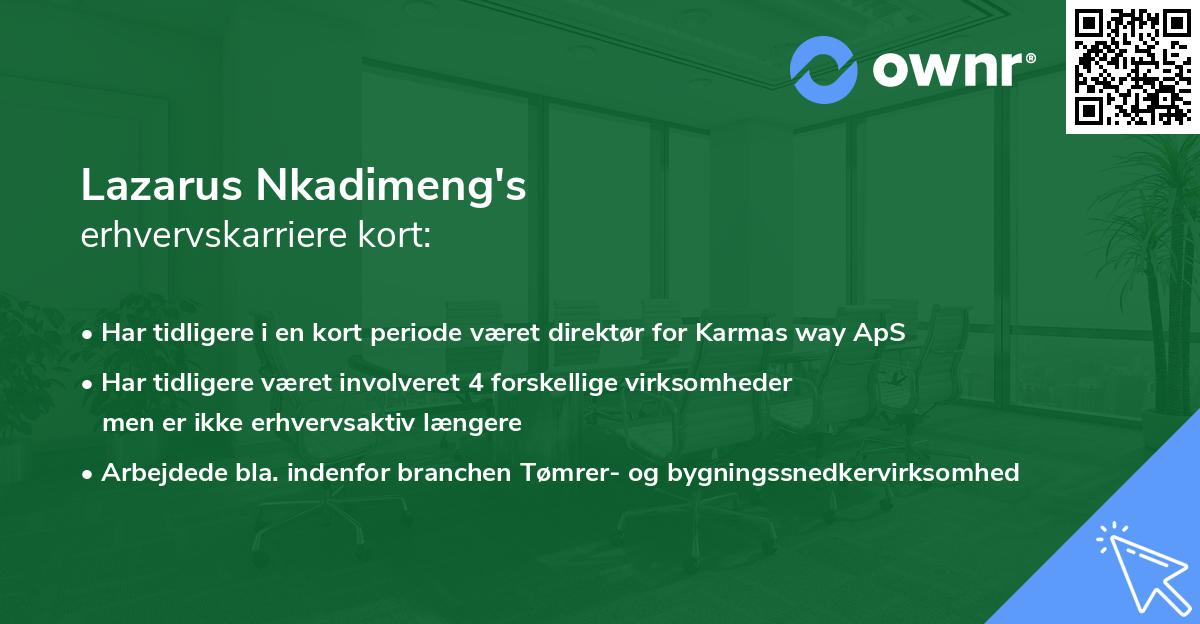 Lazarus Nkadimeng's erhvervskarriere kort