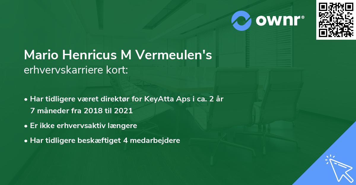 Mario Henricus M Vermeulen's erhvervskarriere kort