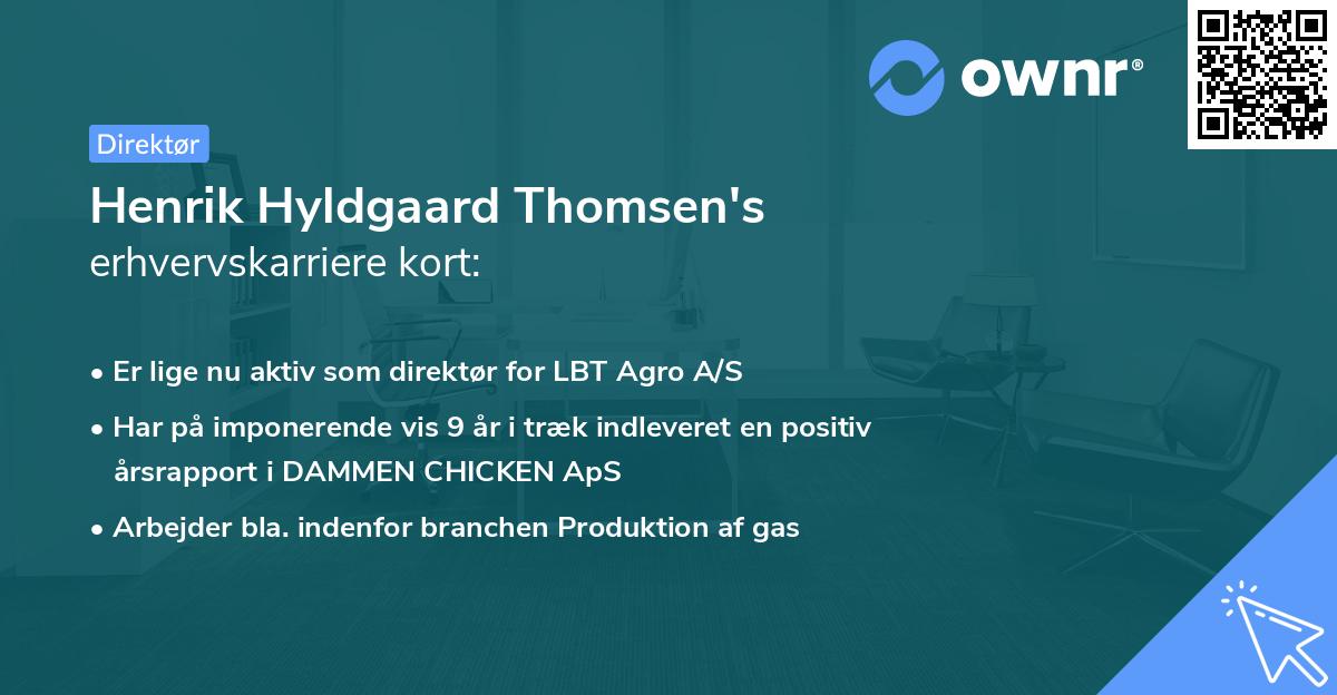 Henrik Hyldgaard Thomsen's erhvervskarriere kort
