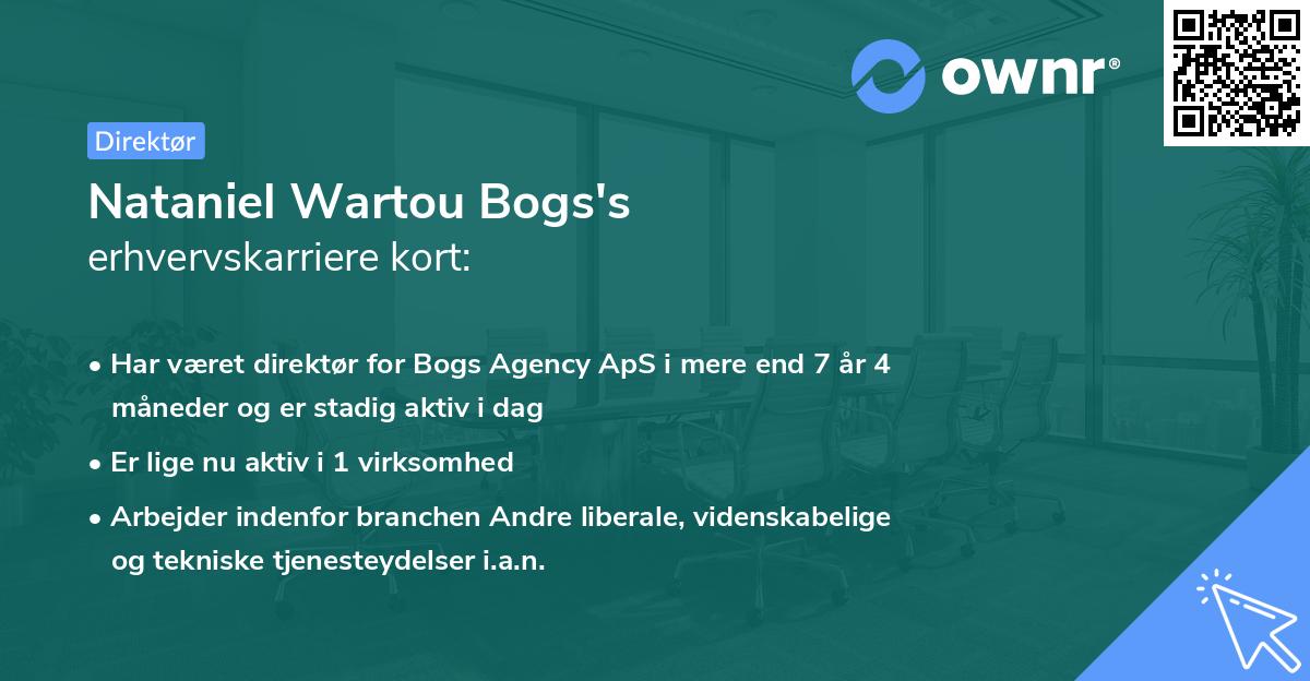 Nataniel Wartou Bogs's erhvervskarriere kort