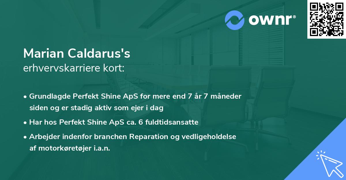 Marian Caldarus's erhvervskarriere kort