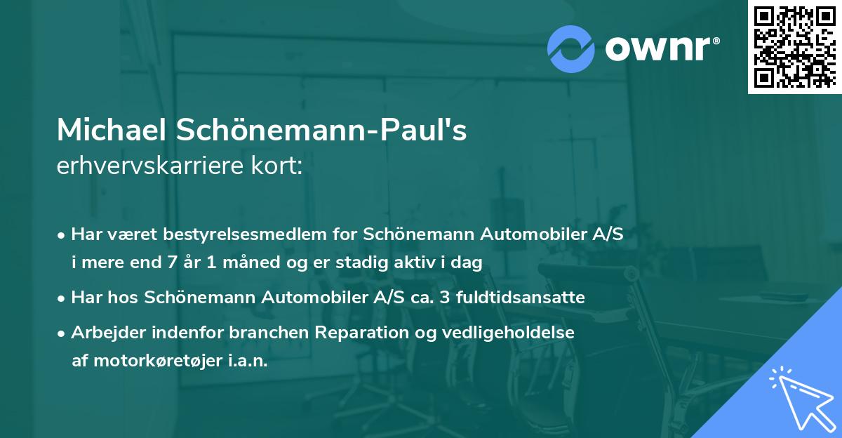 Michael Schönemann-Paul's erhvervskarriere kort