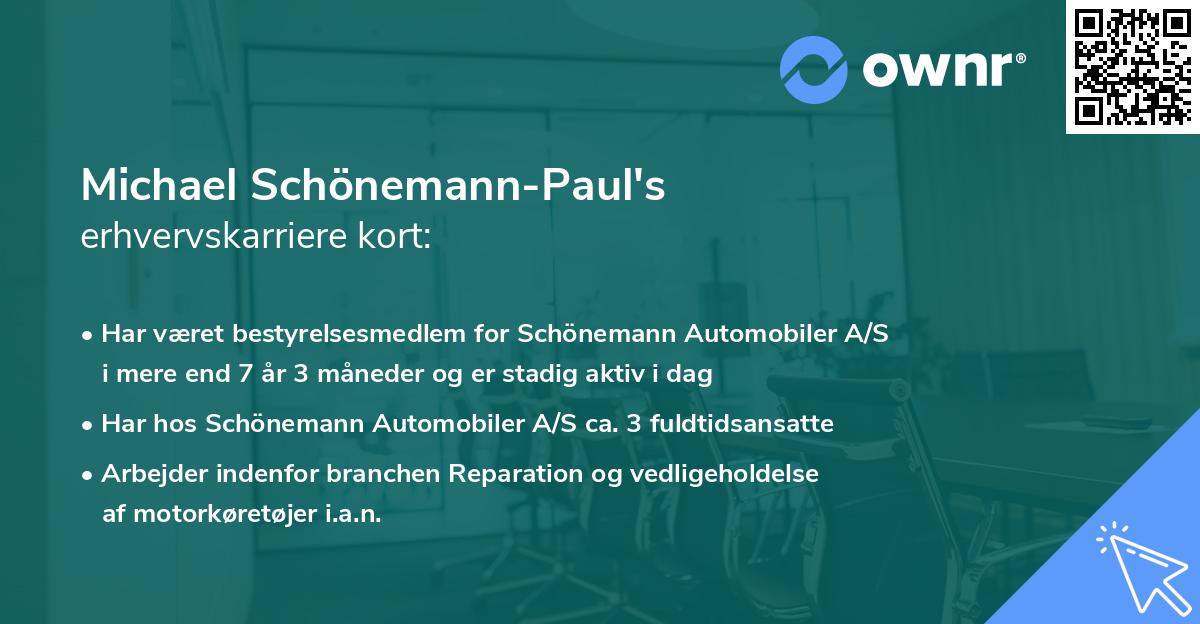Michael Schönemann-Paul's erhvervskarriere kort