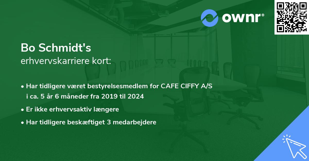 Bo Schmidt's erhvervskarriere kort