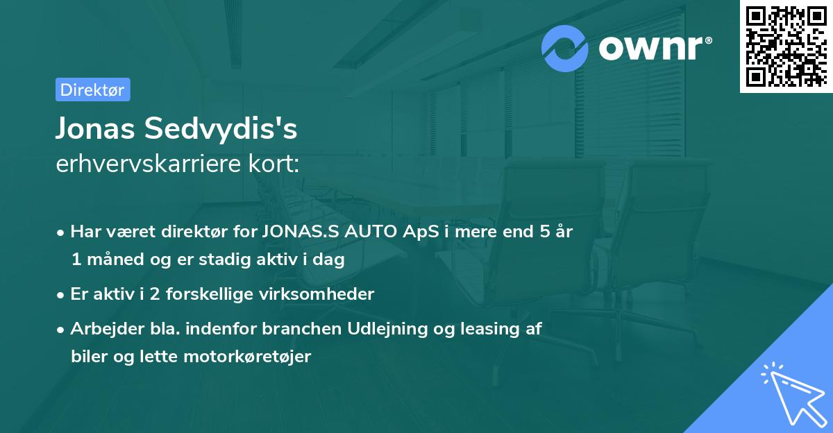 Jonas Sedvydis's erhvervskarriere kort