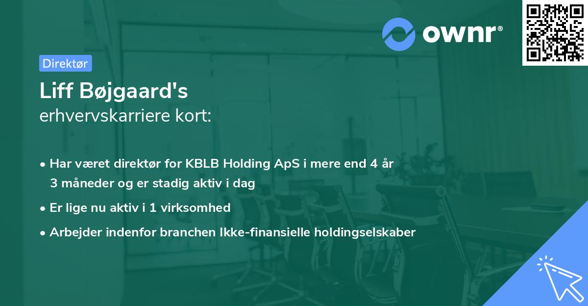 Liff Bøjgaard's erhvervskarriere kort